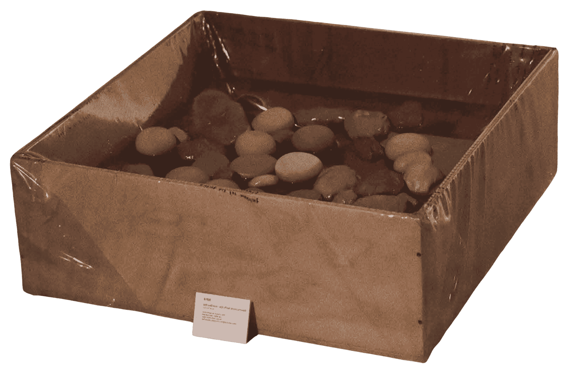 The Floating Stones